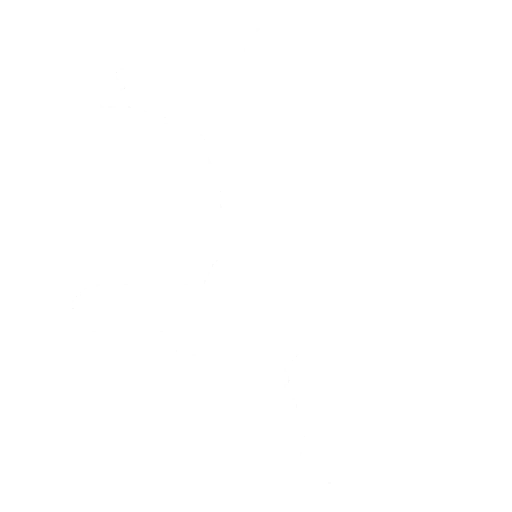 Bhangra Boogie Emote icon