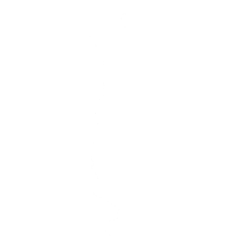 Rollie Emote icon
