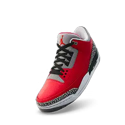 Air Jordan 3 SE Unite Shoes icon