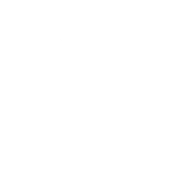 Ashes of Love Emote icon