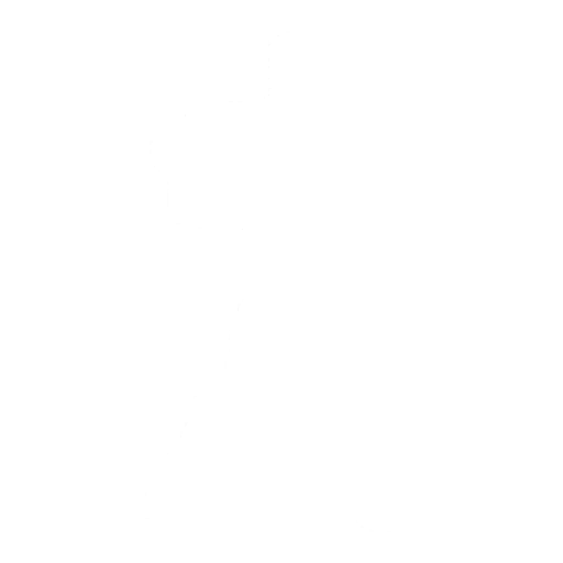 Bold Stance Emote icon