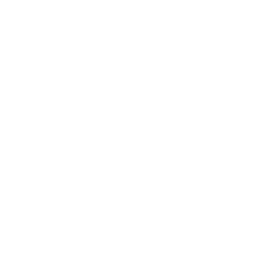 Bonde do Brunão Emote icon