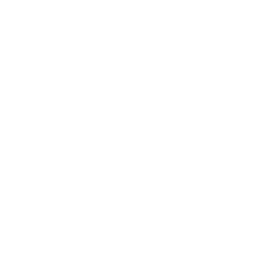 Camera Celebration Emote icon