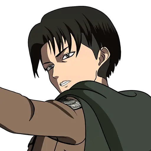 Captain Levi Outfit icon