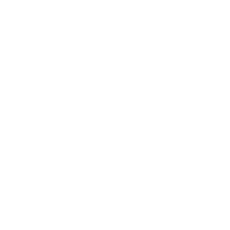 Cleansing Flame Emote icon