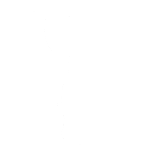 Disc Spinner Emote icon
