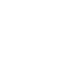 Disco (Surf Curse) Emote icon