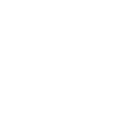 Fast Slow Disco Emote icon