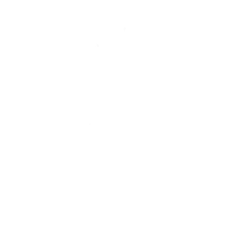 Feel the Flow Emote icon