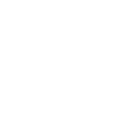 Groove Destroyer Emote icon