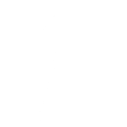 Jumping Jacks Emote icon