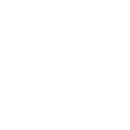 Katana Presentation Emote icon