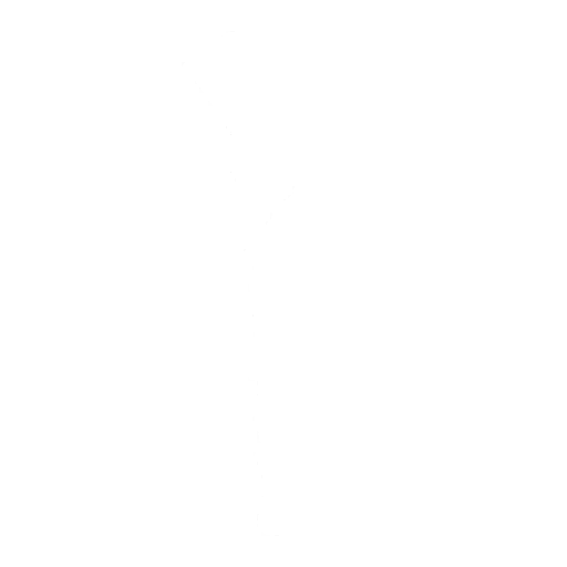 Kite Emote icon