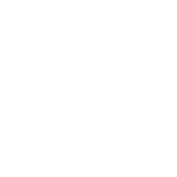 Lil Armored Truck Emote icon