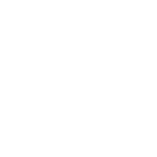 Llama Conga Emote icon