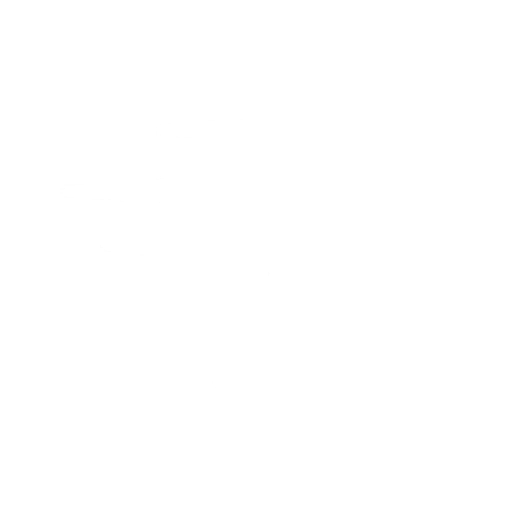 Neos Bullet Time Emote icon