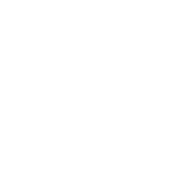 On the Run Emote icon