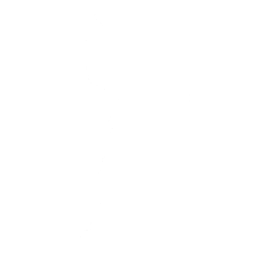 Paddle Royale Emote icon