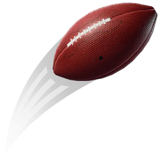 Pigskin Toy icon