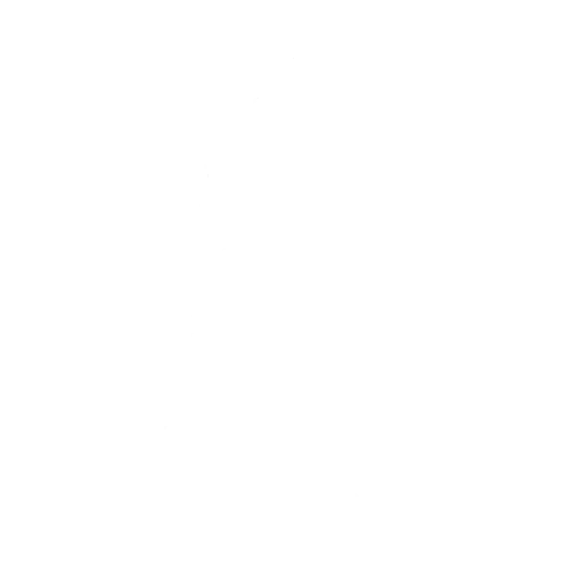 Punching Practice Emote icon