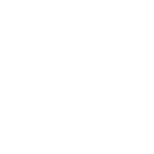 Sharpshooter Emote icon