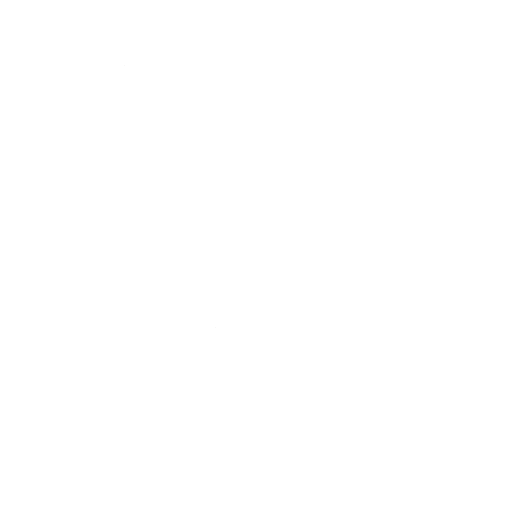 The Crane Kick Emote icon