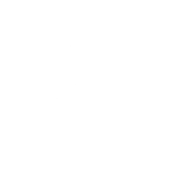 The Spark Emote icon