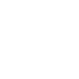 Touching The Sky Emote icon